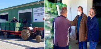 Земјоделците реагираат за откупните цени на зелката, Шапуриќ најави засилени инспекциски контроли