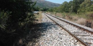 Товарен воз прегази мигранти кои лежеле на пругата кај Миравци