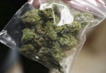Две лица од Богородица гевгелиско и едно од Подареш радовишко приведени – кај нив пронајдена марихуана