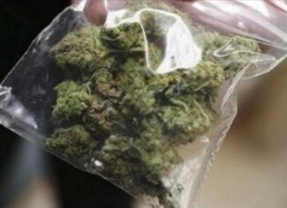 Две лица од Богородица гевгелиско и едно од Подареш радовишко приведени – кај нив пронајдена марихуана