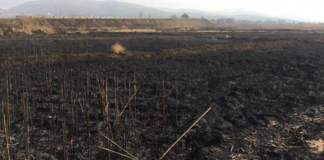 Кај струмичко Мокриево пронајден починат маж со изгореници, заминал да запали стрниште