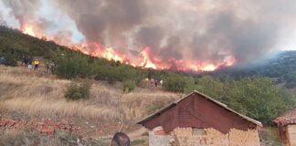 ТВ 24: Богданци во огнен прстен – градоначалникот Шапов се сомнева дека е подметнат -ВИДЕО