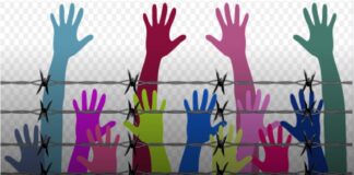 Основни права: Закони има, тешко се спроведуваат