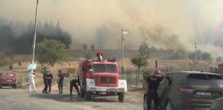 ТППЕ Гевгелија и Струмица до крајот на годината ќе добијат нови возила за шумски пожари од ЦРЈПР