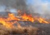 Регистрирани пожари во атарите на Дабиле и Пиперево струмичко но и во атарот на Гевгелија
