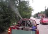 Утре и задутре втора ларвицидна дезинсекција против комарци во Југоисточниот регион