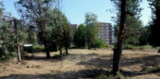 Кај градинката Виножито во Струмица ќе има парк од 20 илјади м2, почна да се чисти теренот