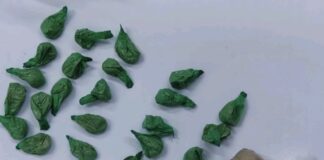 Приведени двајца гевгеличани, во возилото во кое биле пронајдени 27 пакувања хероин