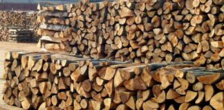 Поскапе огревното дрво за 20 отсто, ЈП ,,Национални шуми,, го објави новите цени