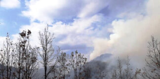 Преку ,,eFIDAR” проектот, на Кожуф и Беласица ќе биде поставен ИКТ систем со сензори за рано откривање пожари