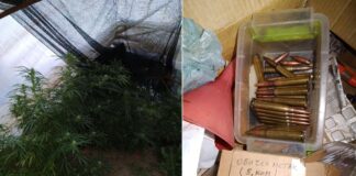 Приведени две лица од Гевгелија, полицијата кај едниот пронашла марихуана кај другиот муниција