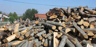 Во Конче од семеен двор одземени огревни дрва – газдата немал документи за нив