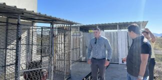 Гевгелија наскоро ќе добие стационар за бездомни животни со кој ќе стопанисува Комуналец