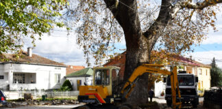 Ново партерно уредување и оформување зелен појас околу радовишкиот Јавор кој ќе добие и нова ограда
