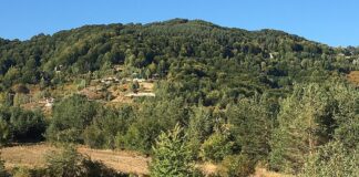 На планината Плачковица кај радовишко Козбунар пронајден човечки труп, дадена наредба за обдукција