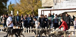 Одржана традиционалната изложба на расни кучиња во Радовиш