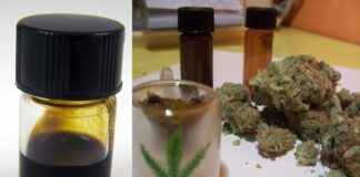 Кај струмичанец во домот пронајдена марихуана и масло од канабис, полицијата најави пријава
