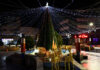 Центарот на Радовиш со повеќе Новогодишни елки и декор, откако првопоставената беше повлечена (ФОТО)