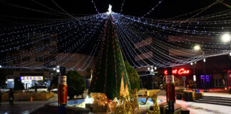 Центарот на Радовиш со повеќе Новогодишни елки и декор, откако првопоставената беше повлечена (ФОТО)