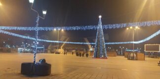 Фото: Блесна новогодишната елка во центарот на Струмица, ќе има и новогодишен базар на плоштадот