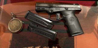 Струмичанецот осомничен за убиство на 83 годишната жена украл пиштол од нејзиниот дом