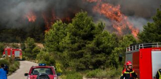 ЦРЈИПР склучи договор за набавка на две нови возила за заштита од шумски пожари во Југоистокот
