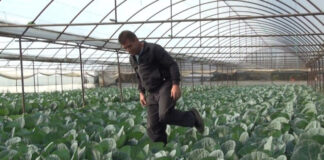 Исплатени субвенции за градинарите – пуштени се 214,7 милиони денари до близу 11.000 корисници