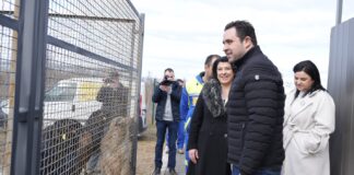 Почна да работи стационарот за бездомни кучиња во Струмица, згрижени веќе 50 тина кои чекаат на вдомување