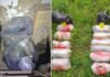 Во напуштен објект во Богородица и стан во Гевгелија пронајдени 15 килограми марихуана (ФОТО)