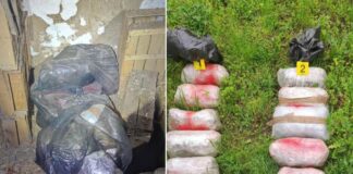 Во напуштен објект во Богородица и стан во Гевгелија пронајдени 15 килограми марихуана (ФОТО)
