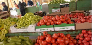Владата ги замрзна цените на доматите, краставиците, пиперките, кромидот – еве колку ќе чинат