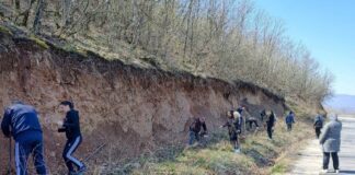 Вработени од Општина Конче и ЈП Лакавица засеа 500 багреми на свлечишта на патот Конче – Радовиш (фото)