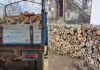 Во радовишко Дедино и Коџалија откриени 15 кубици огревни дрва без документи, МВР најави пријави