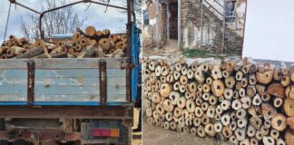 Во радовишко Дедино и Коџалија откриени 15 кубици огревни дрва без документи, МВР најави пријави