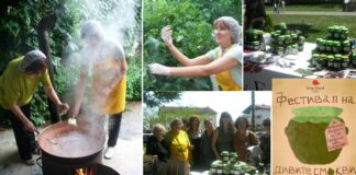 Во Богданци ќе има Фестивал на диви смокви – ќе се прави и дегустира слатко со три часа забава за посетителите