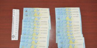 Приведени двајца струмичани, неовластено вршеле купопродажба на девизи – полицијата најави кривични