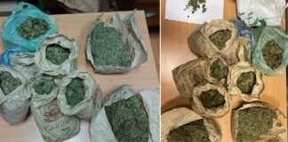 На Валандовско брдо приведен дилер на дрога кој сакал да избега при претрес на возилото од полицијата