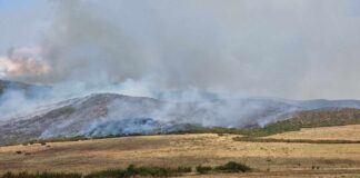 Пожар помеѓу општините Богданци и Дојран на границата со Грција, експлодирале и мини од Првата светска војна