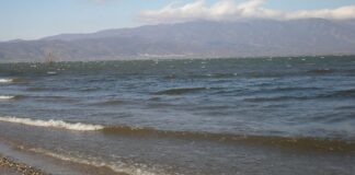 Се удави машко лице во Дојранското езеро откако скокнал од чамец и пливал неколку метри, соопшти МВР