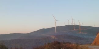 Целосно изгаснат пожарот кај Богданци, изгореа 350 хектари нискостеблеста шума