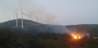 Пожарот кај Богданци сеуште активен, соопшти ЦУК – досега изгоре околу 500 хектари нискостеблеста шума (видео)