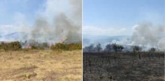 ЦУК: Пожарот кај Богданци е ставен под контрола, но сѐ уште се појавуваат жаришта