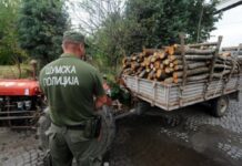 Ќе се примат 43 шумски полицајци со плата од 36.246 денари за работа во три смени