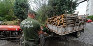 Приведен радовишанец , превезувал бесправно исечени дрвја а во Липовиќ одземени трактор и приколка со дрва