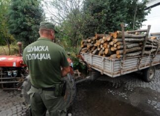 Ќе се примат 43 шумски полицајци со плата од 36.246 денари за работа во три смени