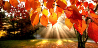 Времето денеска: Променливо облачно со кратки сончеви периоди, попладне со дожд и ветер