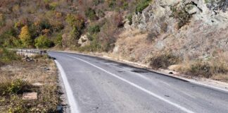 15 лица се повредени откако се преврте комбе возило на патот Струмица – Валандово