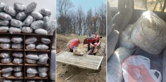 Приведени 4 лица од Струмица – биле дел од транспорт на 85 кг. марихуана преку планината Беласица кон Грција (видео)