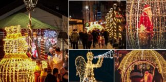 Фото: Гевгелија блесна во предновогодишна атмосфера – поставени украсени елки и светлечки фигури !