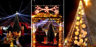 Радовиш блесна во новогодишен амбиент – поставени светлечки декоративни елементи, елки, украси ! (ФОТО)